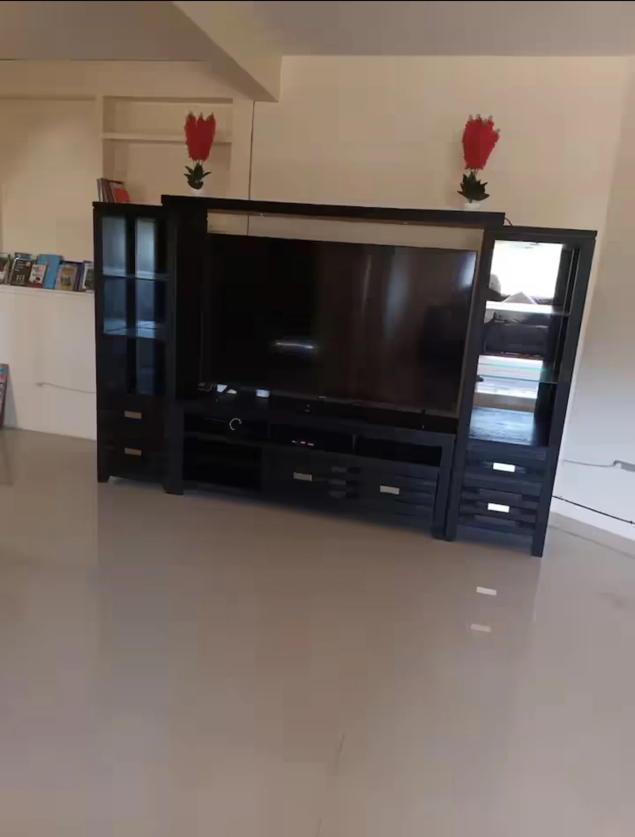 Entertainment area with television